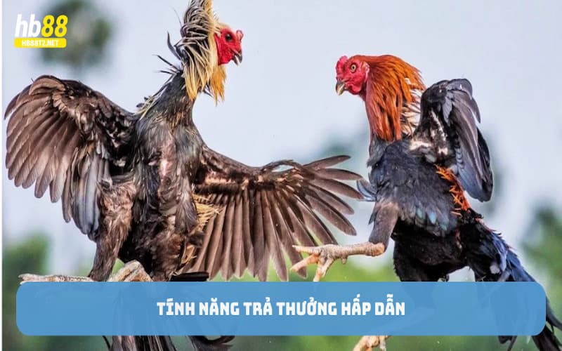 Tính năng trả thưởng hấp dẫn